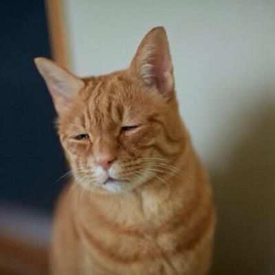 yaaamichi's profile picture. 