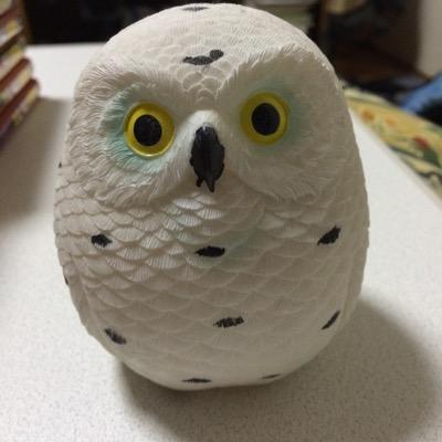 無言フォローすみません！！！！最近、愚痴が多くなってます・・・ こちらは基本放置です。