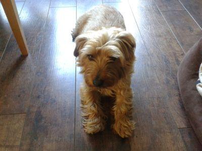 moooscarmoo's profile picture. TTID