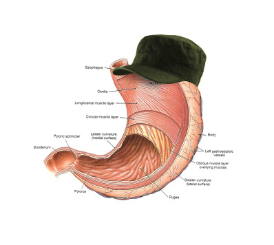 FidelGastro's profile picture. Eating the things you're not supposed to since 2006. Making @sideprjctjerky since 2012.