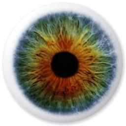 unhingedDubstep's profile picture. Welcome to Trojan.
This channel will be where i upload remixes of popular songs (Well, popular in my opinion anyway :D) and maybe int he future a few o