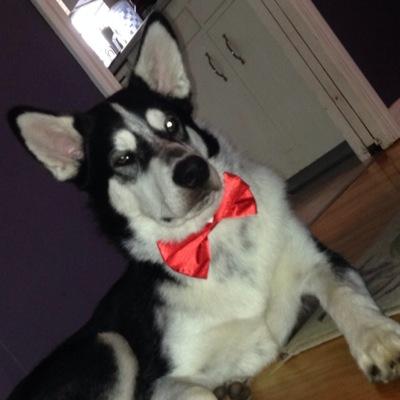 DaBiiird's profile picture. 