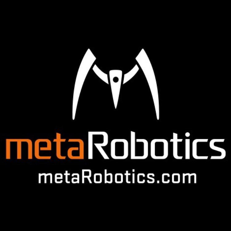 metaRobotics's profile picture. 