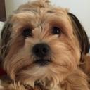 Benji James bone - @BoneBenji - Twitter