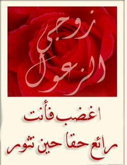 AhmedBadriah's profile picture. 
