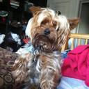 Peter  McCarty - @A1landlord - Twitter