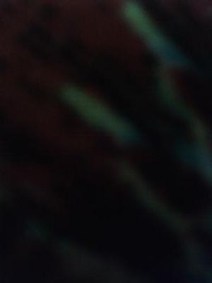 shiranabila56's profile picture. kartun