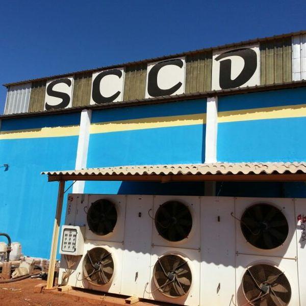 sccdsa's profile picture. Chlorine & Chemical Derives Senegal SA (SA SCCD) is a Italian - Senegalese who works in the field of chemicals derived CHLORINE.