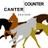 CounterCanterDesigns