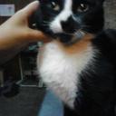 Roberto Limas Roj - @LimasBeto - Twitter