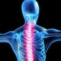 Bofshever Wellness Center provides health and wellness to patients with chiropractic care and assists victims of auto accidents live life pain free.