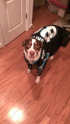 jrdobbins62's profile picture. Greatness started the day I was born