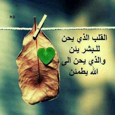 اللي يعزّك تشهد لك أفعآله .. ولآ الكلآم لآ يودّي ولآ يجيب