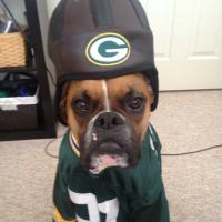 David (@dmehlhorn) Twitter profile photo