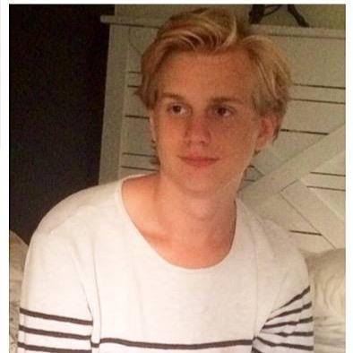 alexliedman's profile picture. 