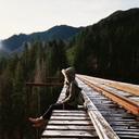 Northern Wind - @wind_northern - Twitter