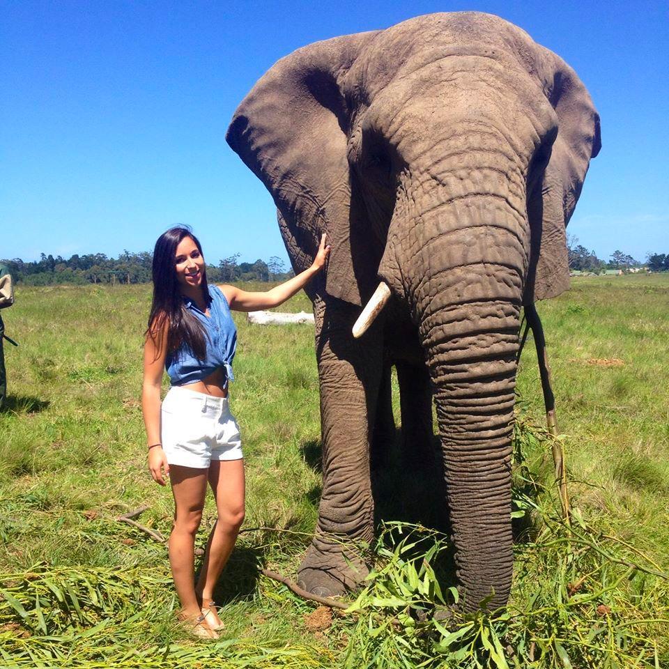 kirstenarmour's profile picture. 