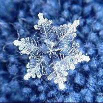 SnowyLeila's profile picture. Small town girl living in the big city!!!!