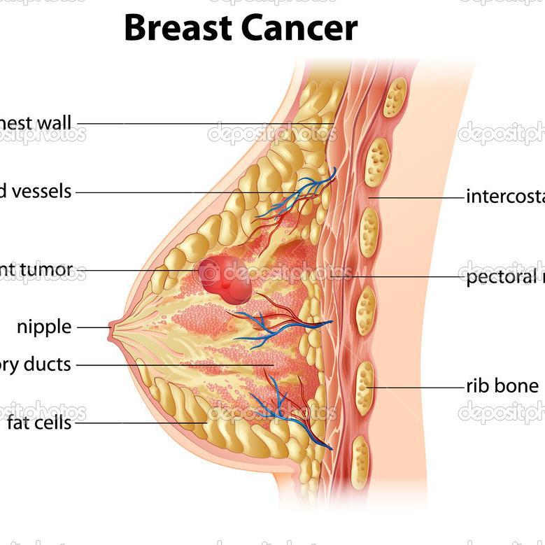 breastaugdirect's profile picture. 