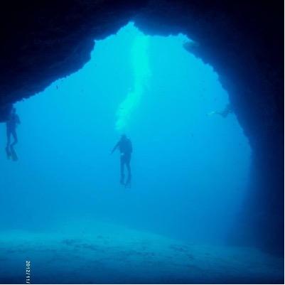 Danstedman123's profile picture. 