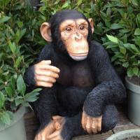 Patrick cosgrove (@pialectics) 's Twitter Profile