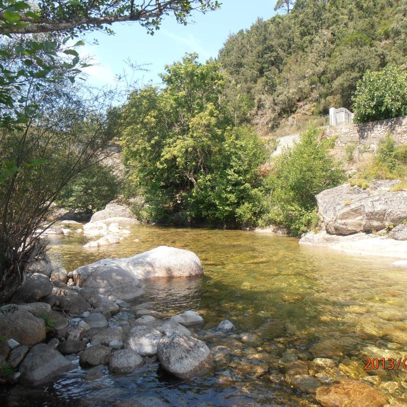 NoelsVerbiz's profile picture. 