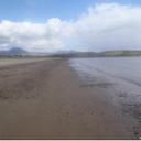 peter macvean - @barney65224 - Twitter