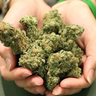 all about Mary Jane
snapchat: weed_hands