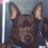 EdgarAllanPoo_'s profile image
