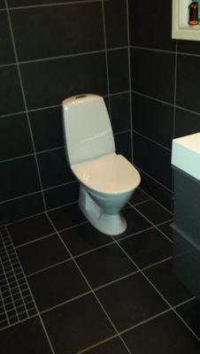 BertilBoo's profile picture. 