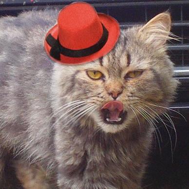 aimrox16's profile picture. 