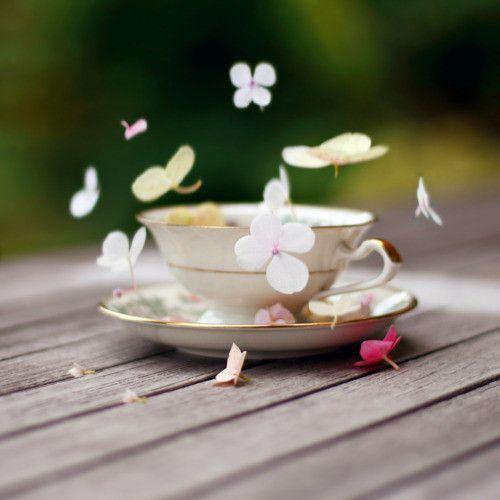 Afternoon Tea Parties | Event Styling
