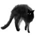 Catress NYC (@catressnyc) Twitter profile photo