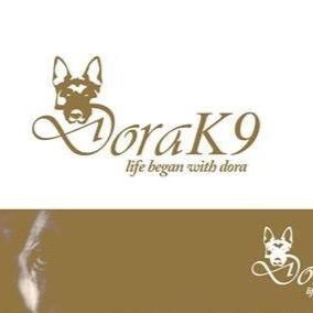 Köpek Eğitimi ve Danışmanlık
