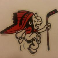 Saugus Hockey (@sachems_hockey) 's Twitter Profile