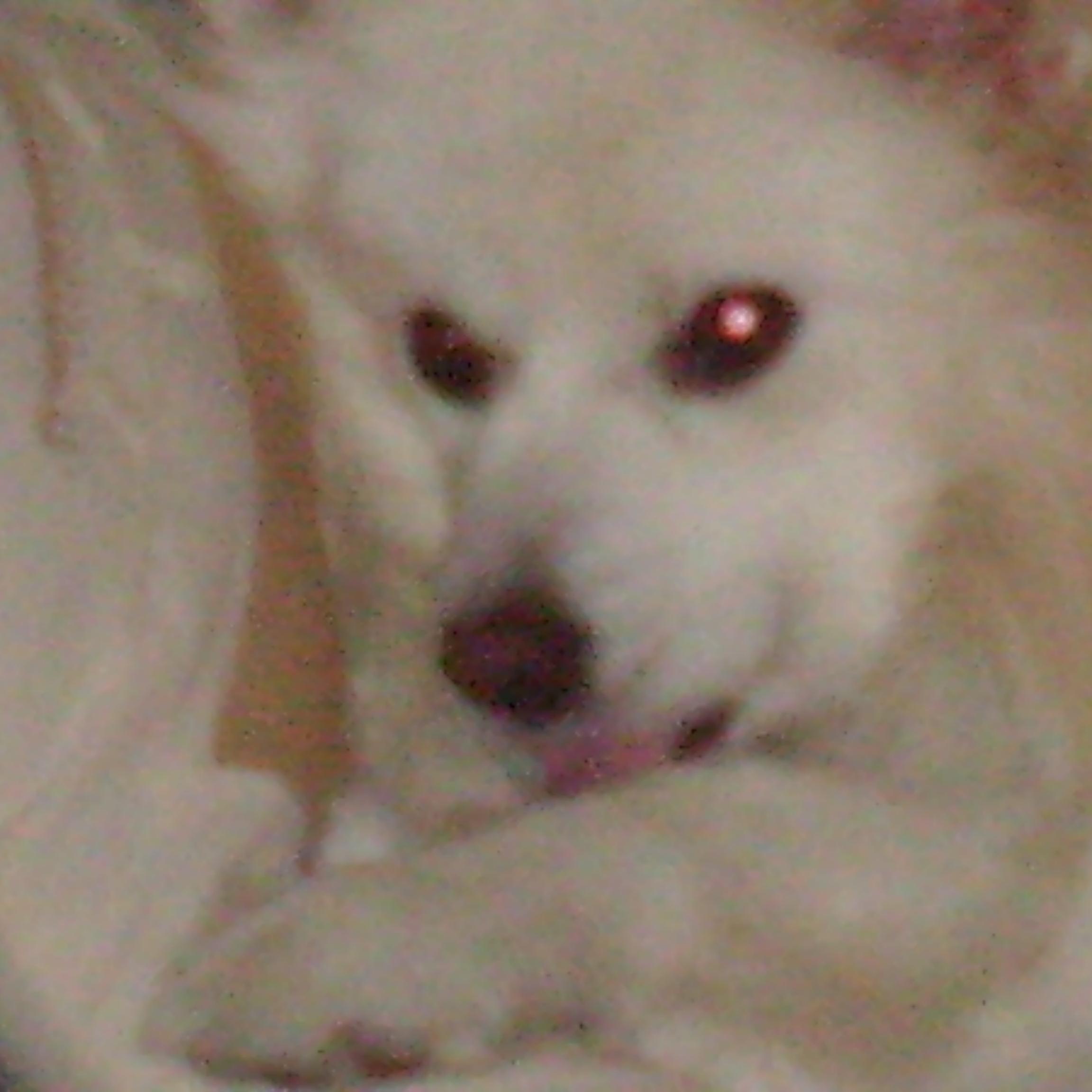 hokkeling1's profile picture. 