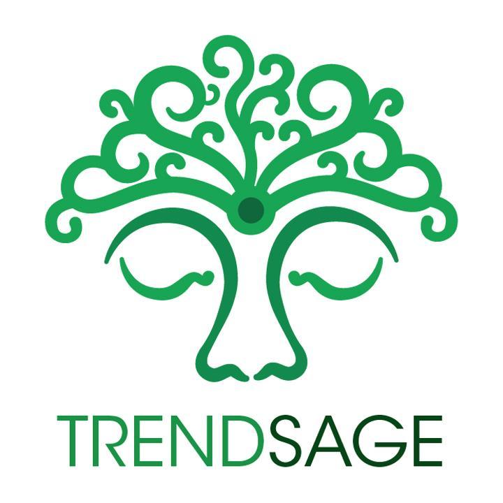 trend   /trend/  
1. general direction of development or change -  a fashion, vogue, style, mode, craze, mania
sage  /sāj/
1. profoundly wise one in the know