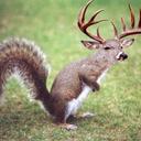 Jean-michel lagacé - @lagace25 - Twitter