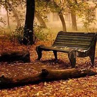       Sultan    (@albas04s) Twitter profile photo