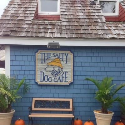 lreilly84's profile picture. Tweets are my own