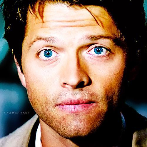 MaiaRoberts_RSH's profile picture. 17. Chica lobo. Miembro de la manada de Luke Garroway. Curiosa y algo prejuiciosa. Odio a mi hermano.