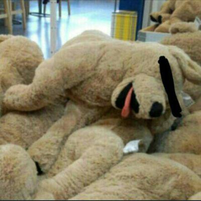 クッキーいおくん これってポケモンベガとか改造ポケモン全部違法ってことだよね できなくなるなら今のうちにやっとくか 違法ダウンロード刑事罰化 著作権法改正案が可決 成立 10月1日施行へ Http T Co Bmwska8z Niconews