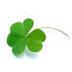 SanPatricio (@SanPatricio) Twitter