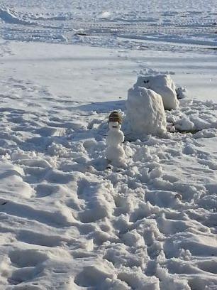 sandven_3's profile picture. 1st, 2nd, 3rd Grade Teacher