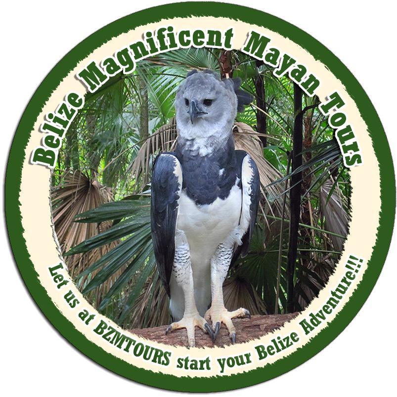 Let us at BzmTours start your Belize Adventure is the motto of our company. We strive to do our best and our friendly service is top-notch.