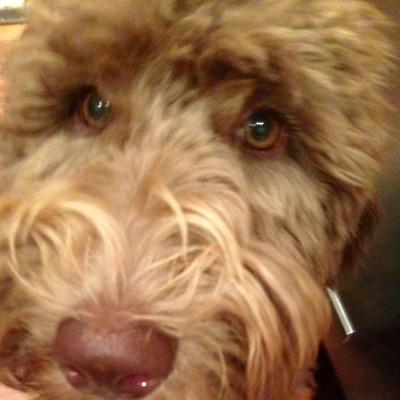 alexandersajr1's profile picture. 