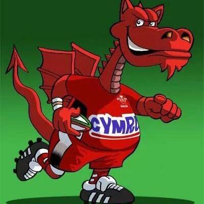 Chunks71's profile picture. Denbigh Ladies FC North Wales Women's Football League Champions 2014 - 2015, looking forward to 2015-2016 season.