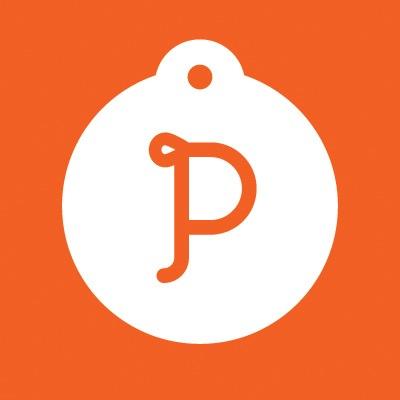 PetchaNetwork Profile Picture