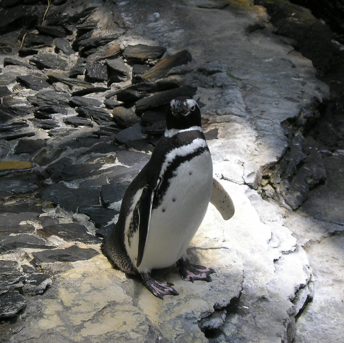 g_chateauneuf's profile picture. Cycling (road, mtb, cx, urban...) & trail running addict, endurance sports, mountain...