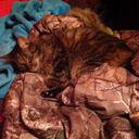 Candi White - @CandiWhite5 - Twitter